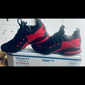 Puma shoes size ten never worn